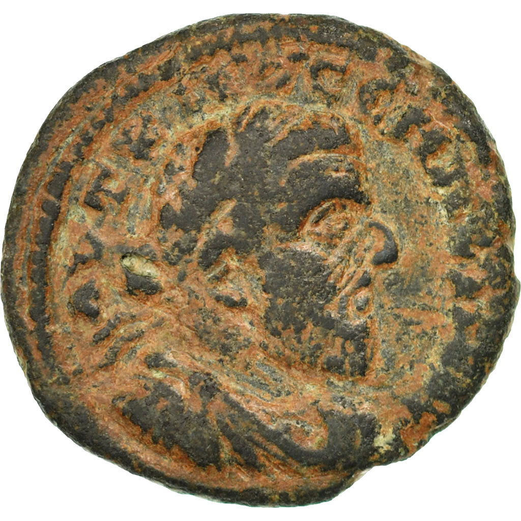 Acuñar,
Seleuco y Pieria,
Macrino