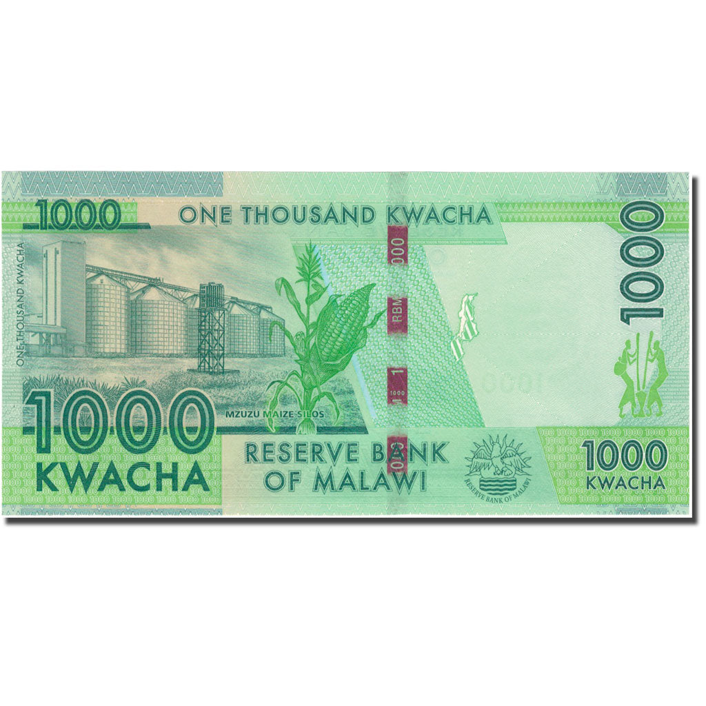 billete de banco,
malaui,
1000 kuachas