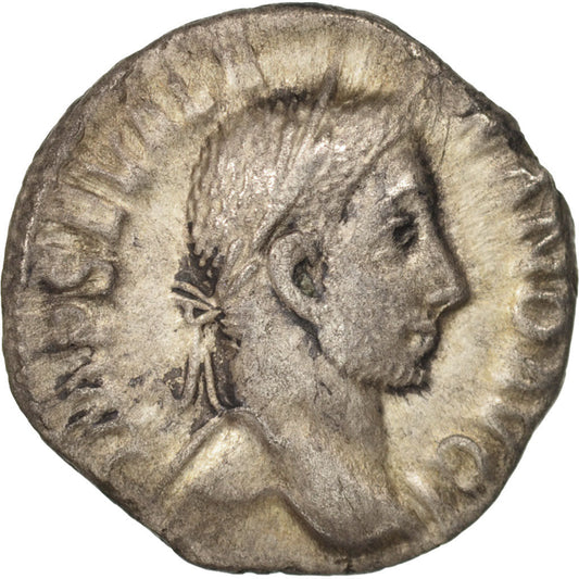 Moneda,

Alejandro Severo,

Dinar