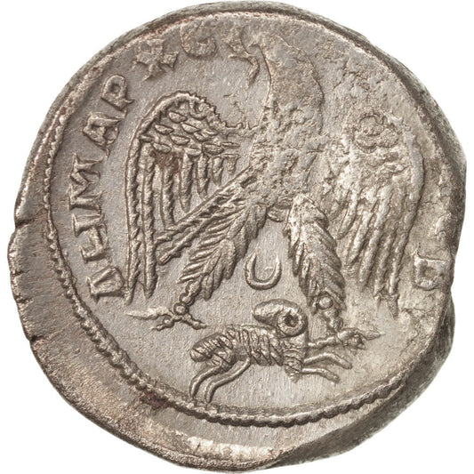 Acuñar, 
  
  Gordio III, 
  
  tetradracma