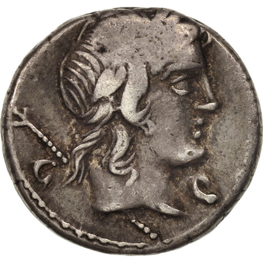 Acuñar, 
  
  Cropusio, 
  
  Dinar