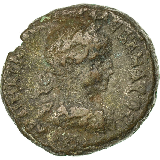 Moneda,

Severo Alejandro,

Tetradracma