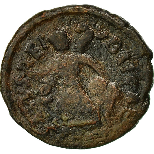 Acuñar,
 
 Arkadiusz,
 
 medio tonto
