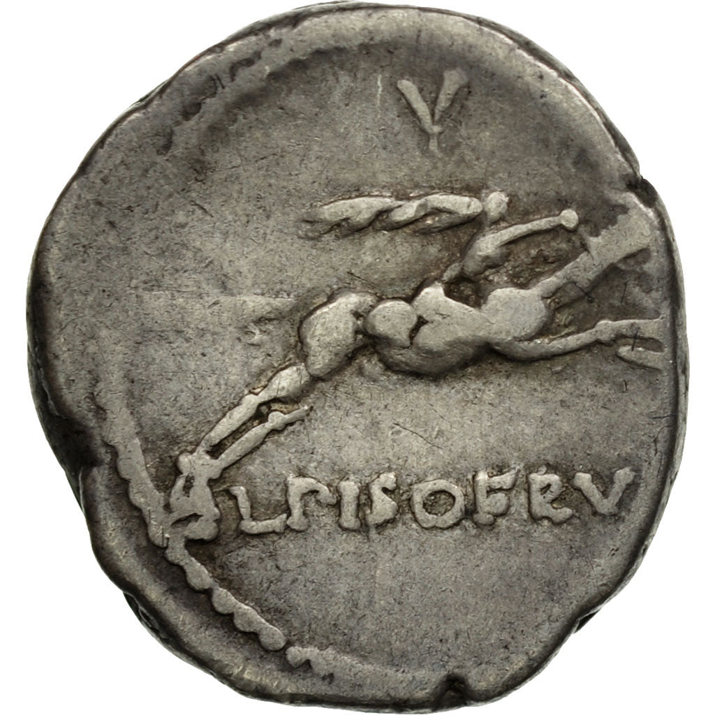 Acuñar, 
  
  calpurnia, 
  
  Dinar