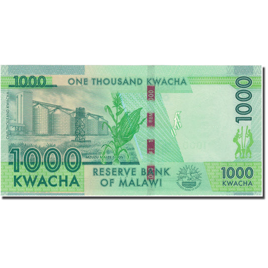 billete de banco, 
  
  malaui, 
  
  1000 kuachas